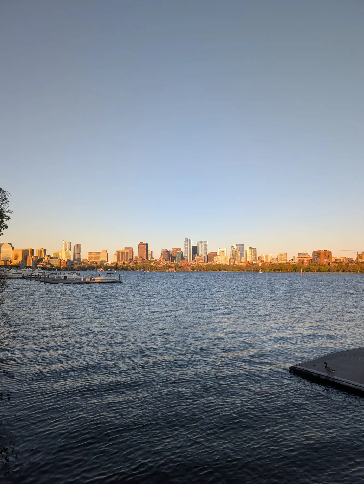 Golden hour across the river toward downtown. Picture captured during a quick evening run :)